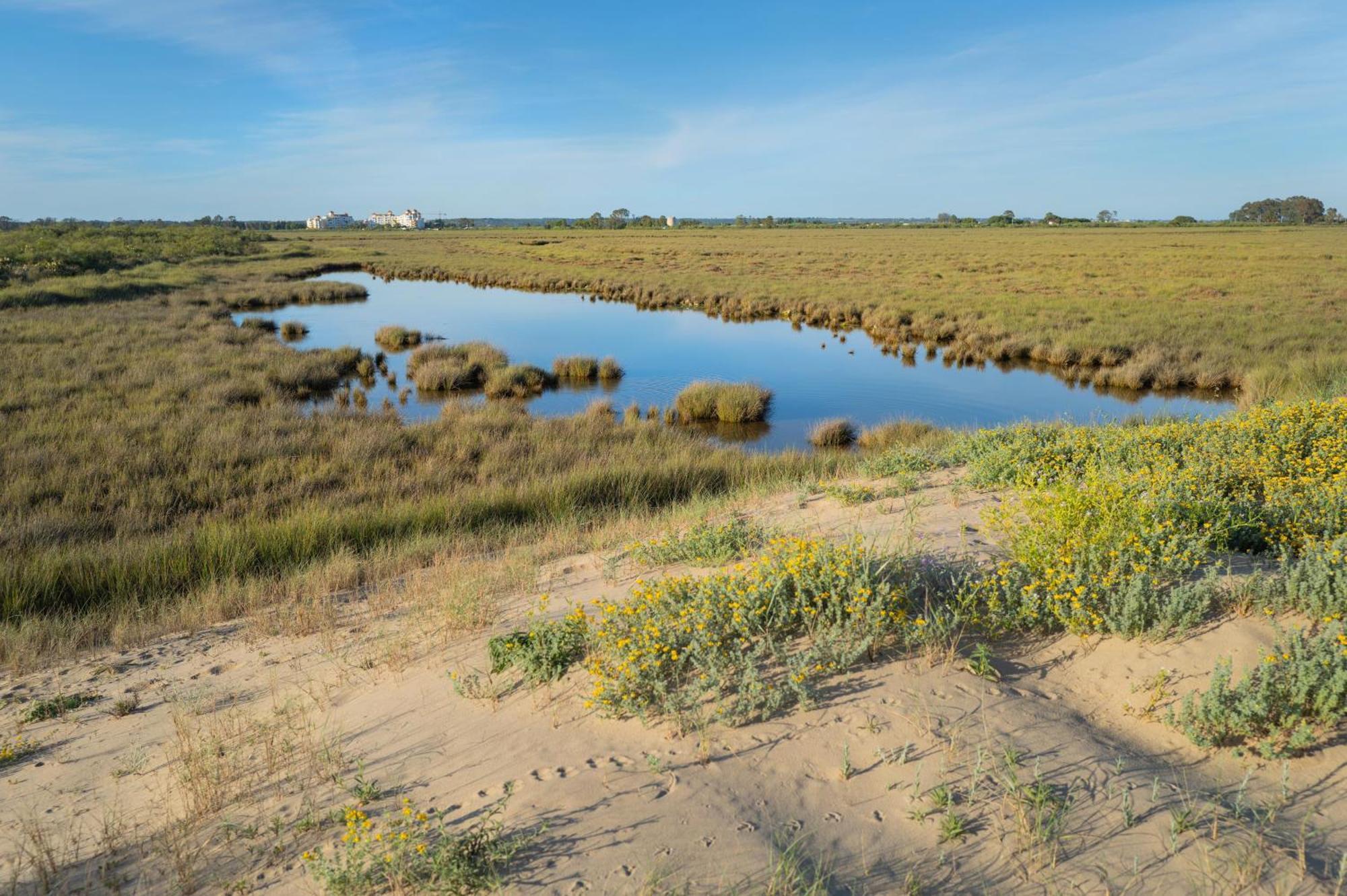 Apartamento - Atico Isla Canela Ayamonte Eksteriør billede